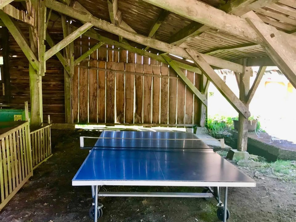 Table tennis
