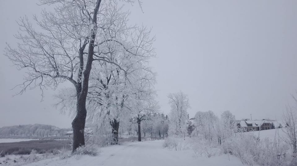 Winter