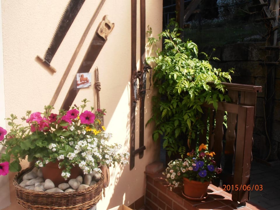 Balcony/Terrace, Garden view