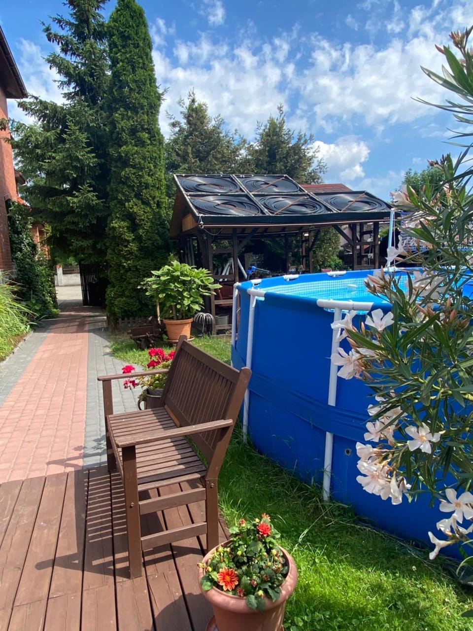 Spring, Day, Garden, Swimming pool