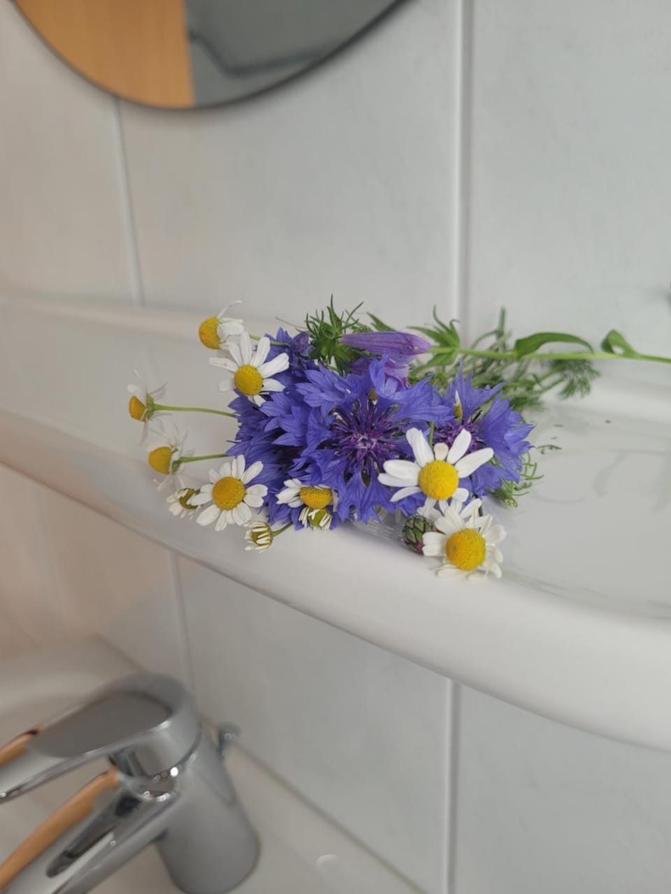 Ella's Ferienwohnung Apartment in Region of Southern Denmark