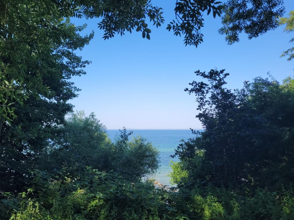 Ella's Ferienwohnung Apartment in Region of Southern Denmark