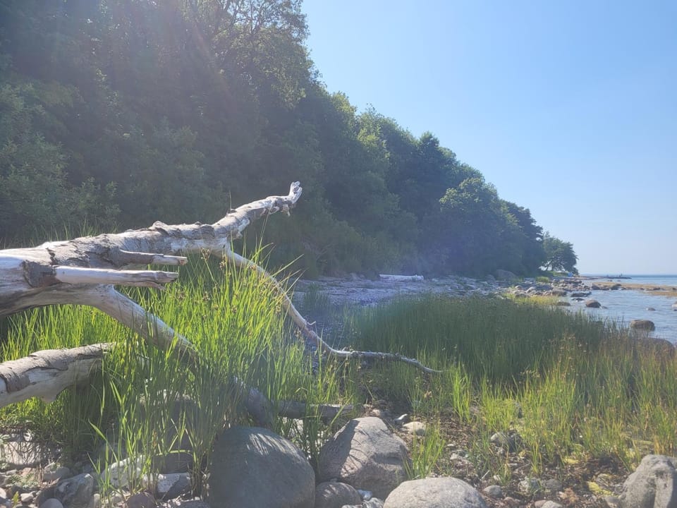 Ella's Ferienwohnung Apartment in Region of Southern Denmark