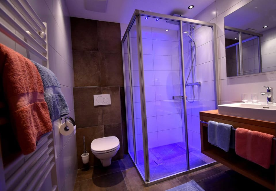 Shower, Toilet, Bathroom, towels