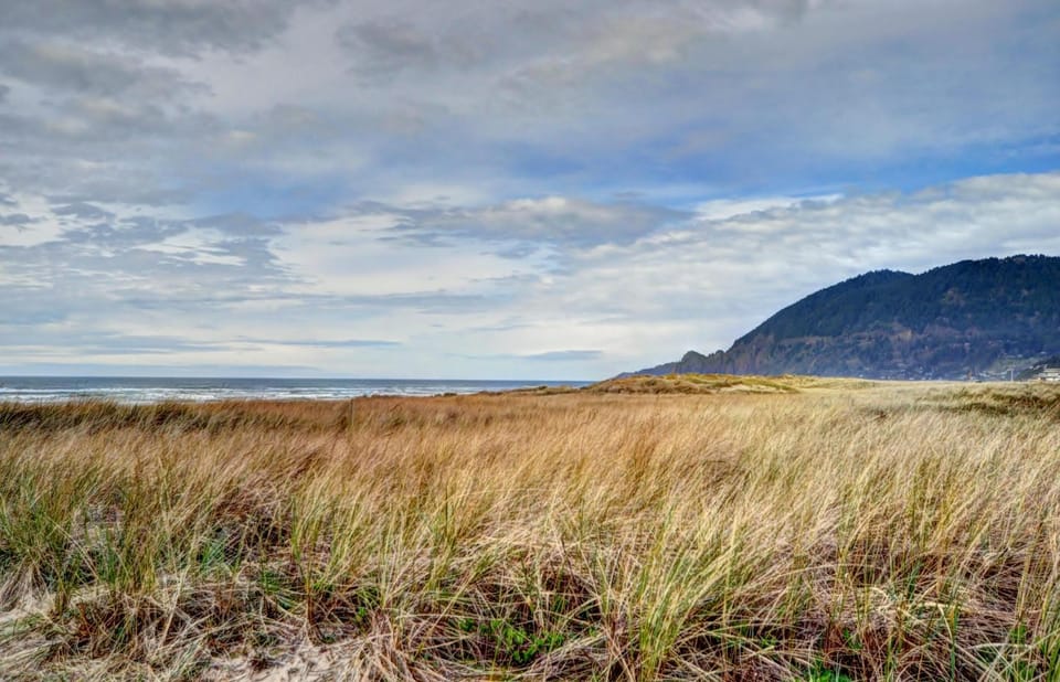 The Little Brown House MCA #705 House in Manzanita