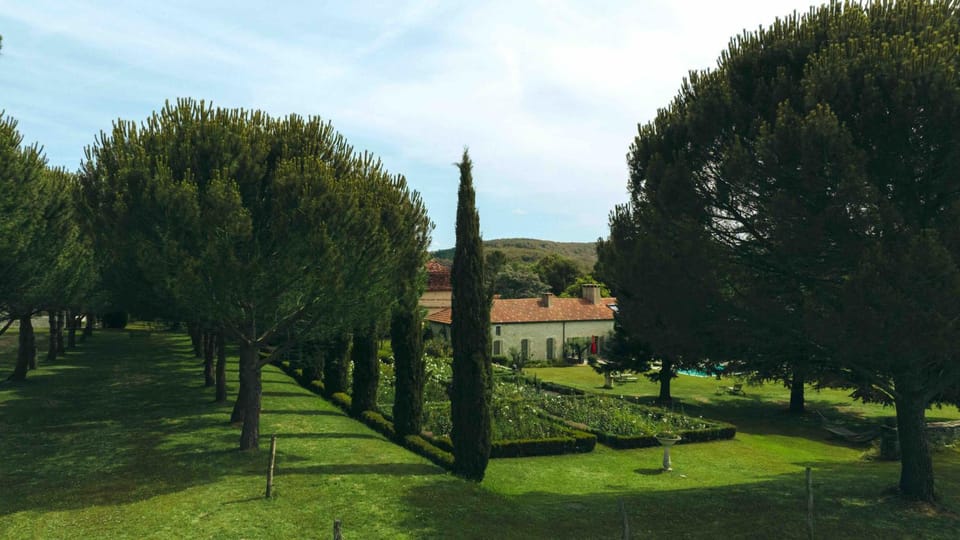 Natural landscape, Garden, Garden view