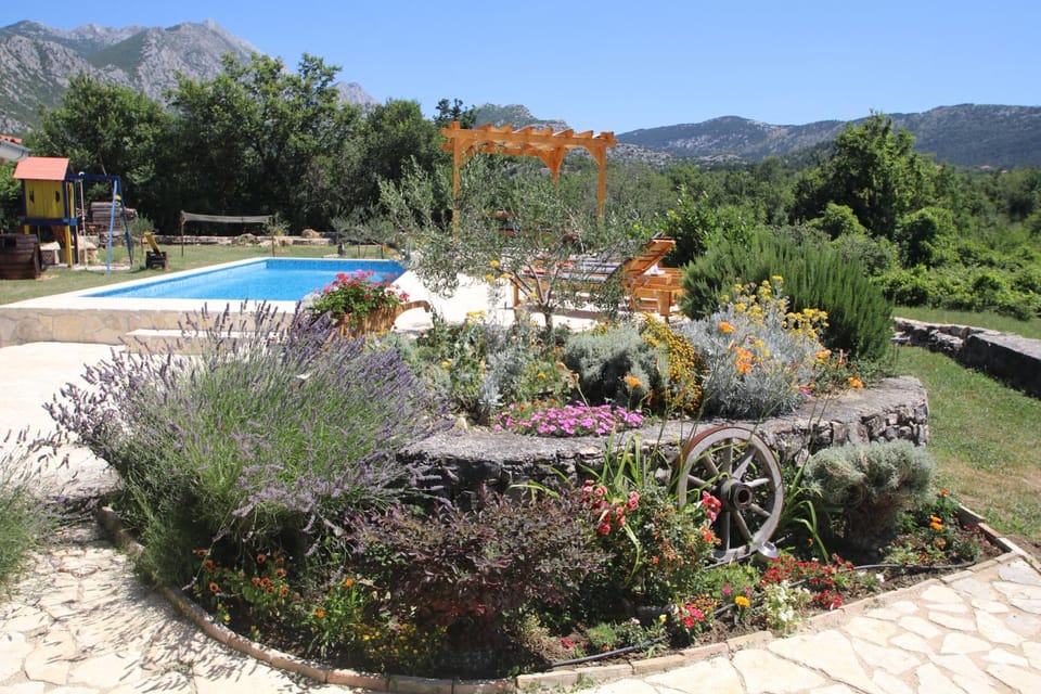 Day, Natural landscape, Garden, Garden view, Mountain view, Pool view, Swimming pool, Swimming pool