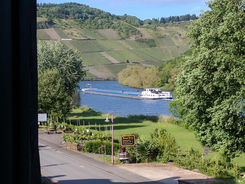Natural landscape, River view