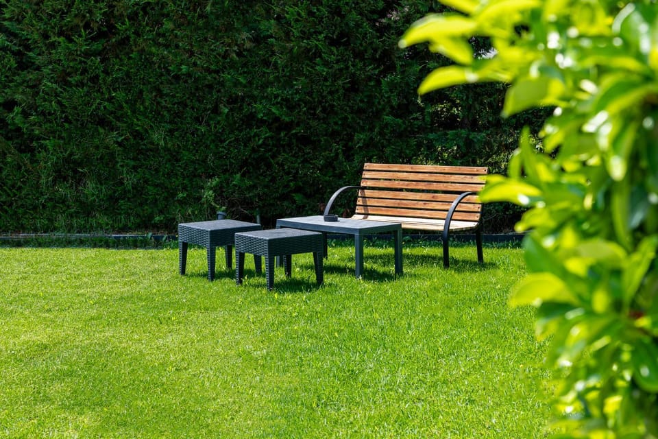 Day, Natural landscape, Garden view