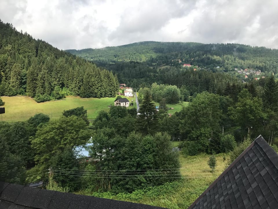 Natural landscape, Garden view