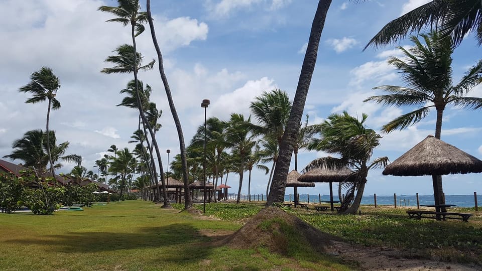 Natural landscape, Beach, Garden view, Sea view