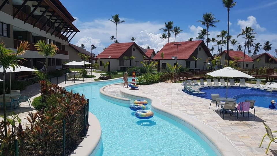 Garden, Pool view, Swimming pool, sunbed