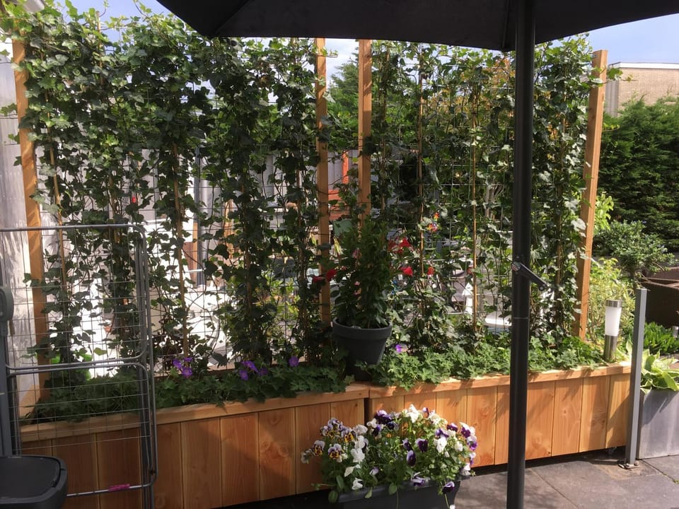 Patio, Garden, View (from property/room)