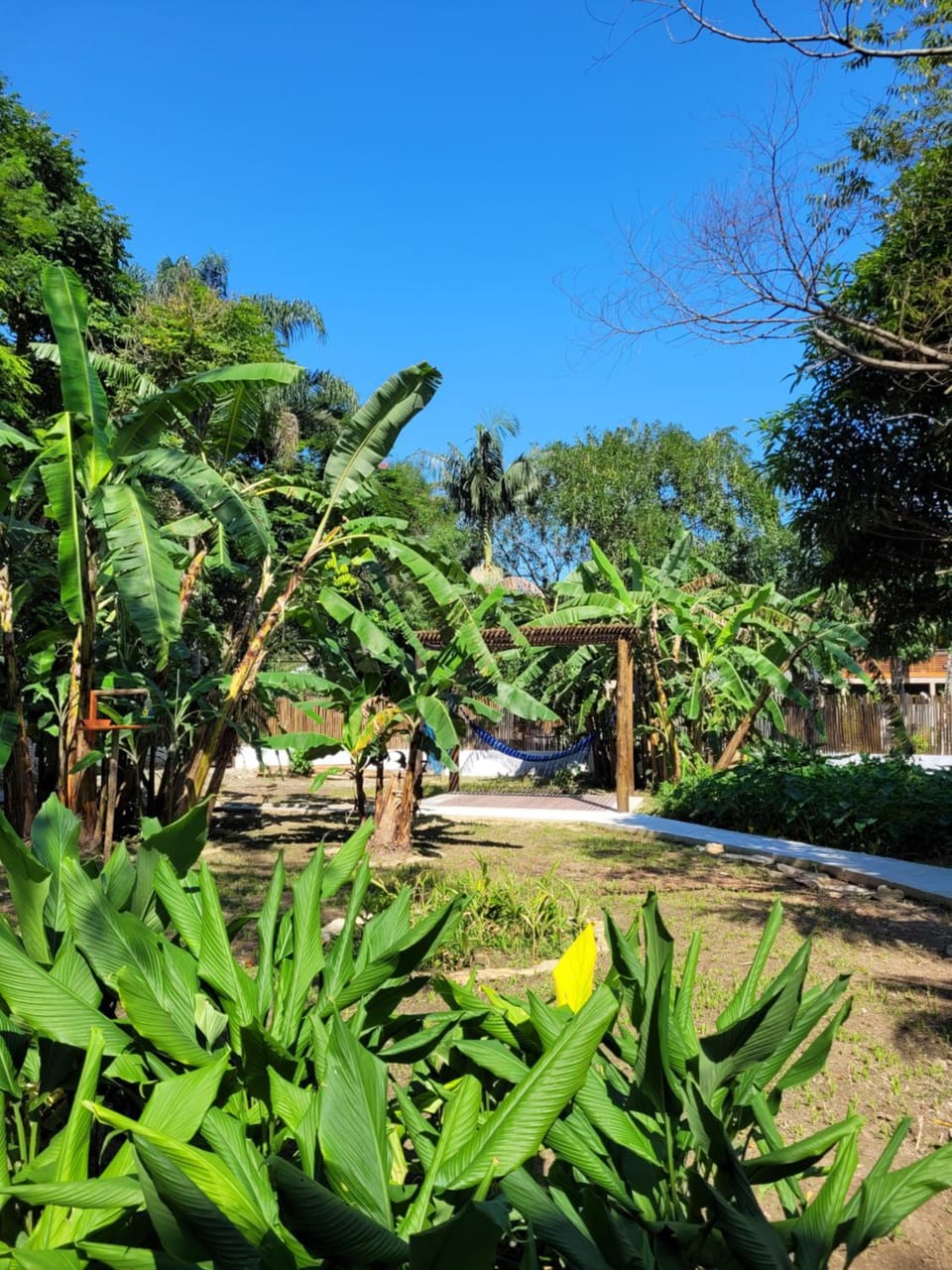 Garden, Area and facilities