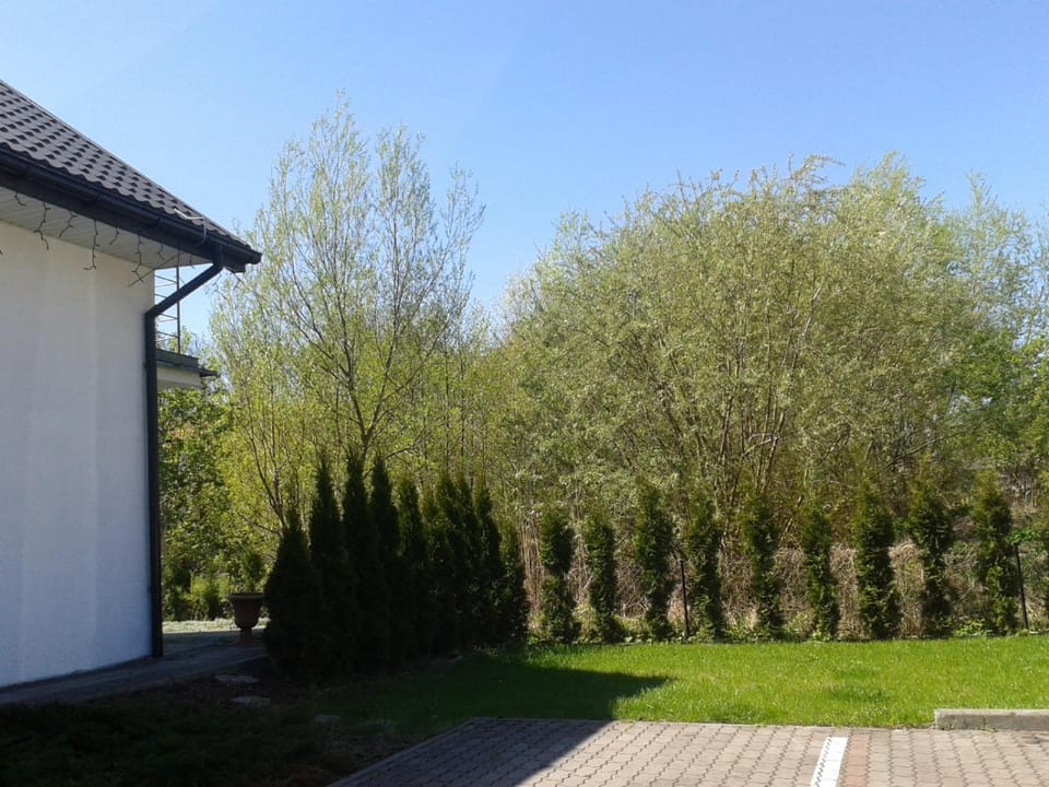 Biały Domek (blisko tężni) House in Greater Poland Voivodeship