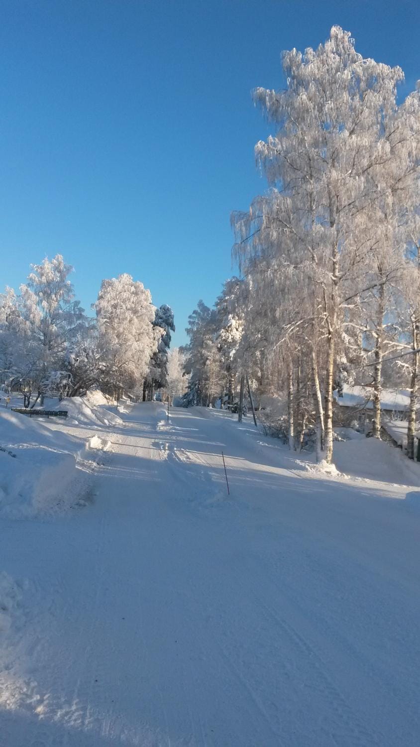 Skiing, Sports