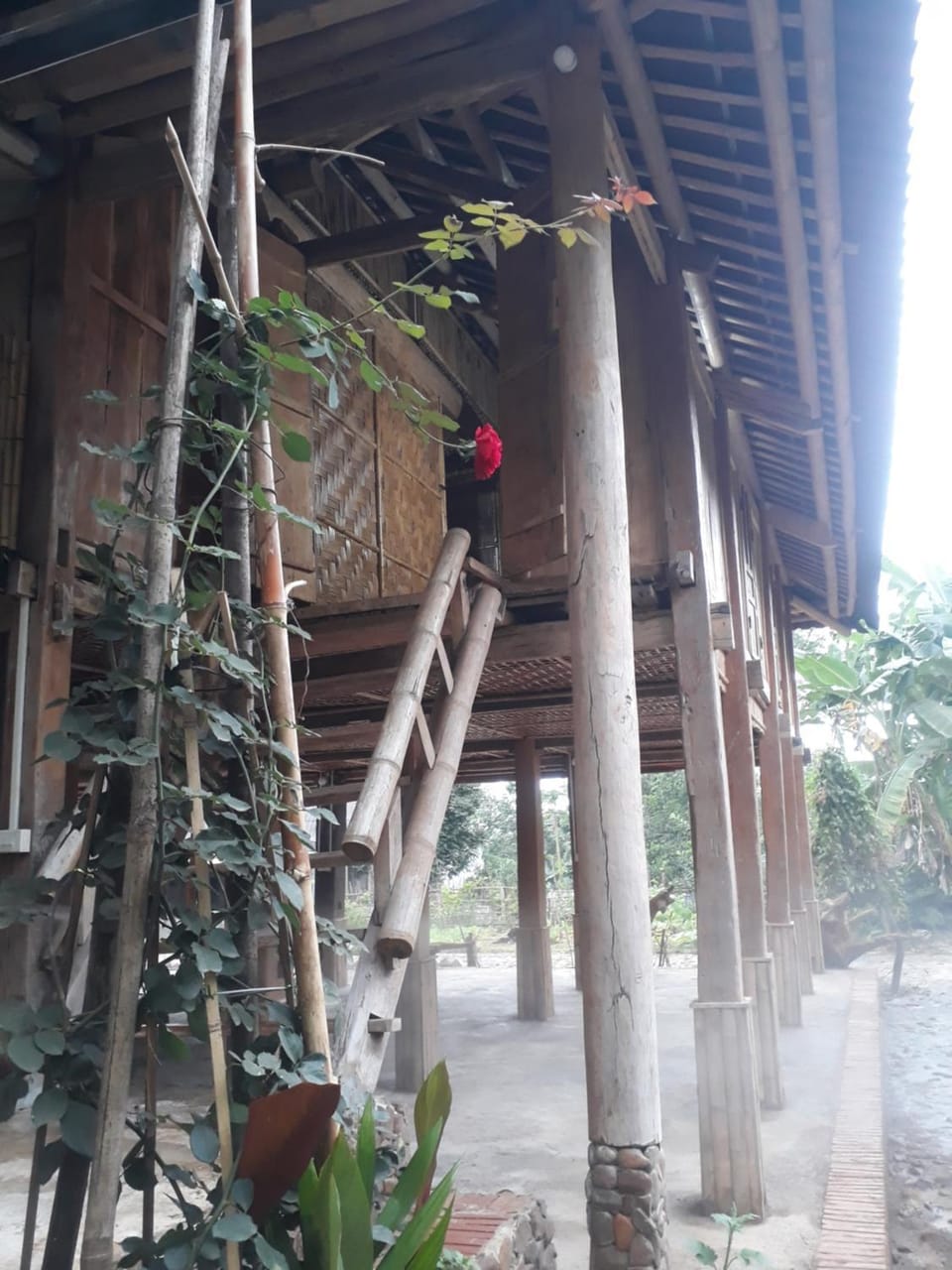 Property building, Day