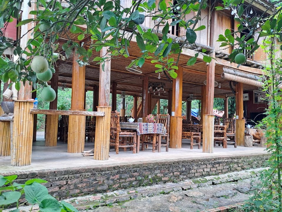 Restaurant/places to eat, Day, Living room, Garden view