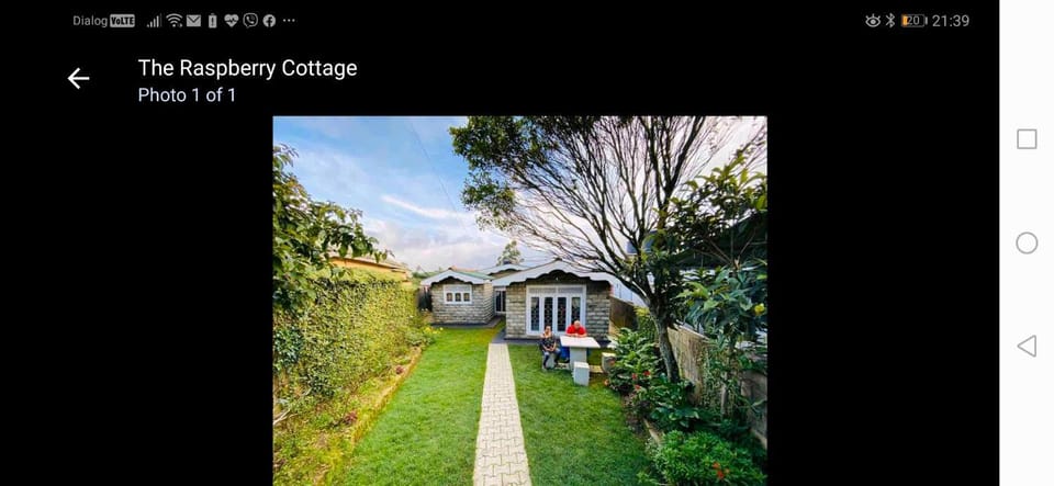 Garden, Garden view