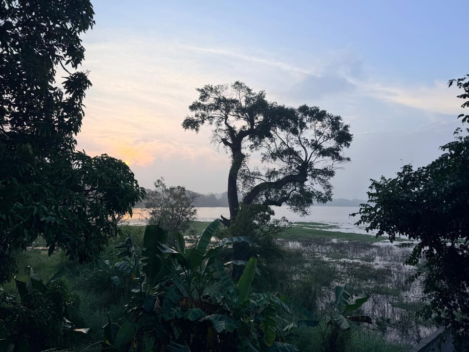 Lake view