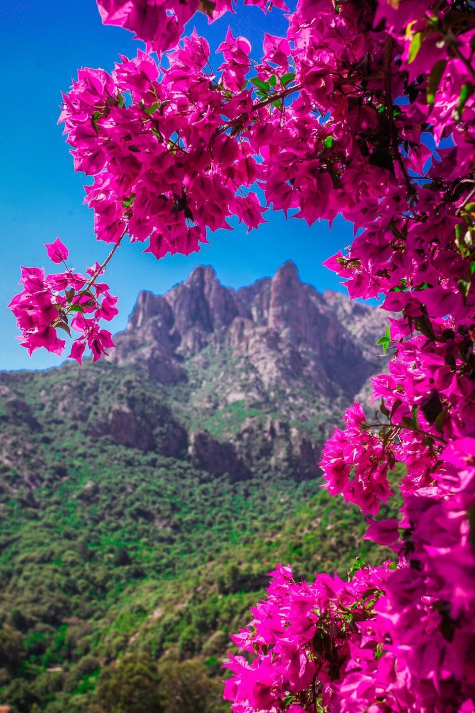 Nearby landmark, Spring, Day, Natural landscape, Mountain view