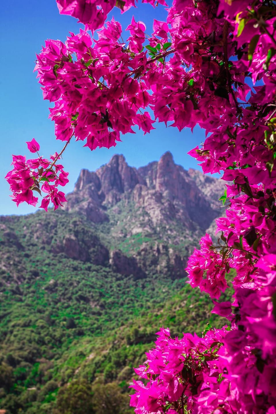 Nearby landmark, Natural landscape, Mountain view