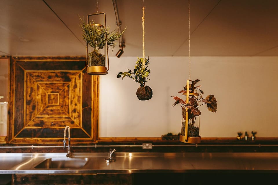 Coffee/tea facilities, Kitchen or kitchenette, Kitchen or kitchenette, Seating area, Dining area, Breakfast, Continental breakfast, English/Irish breakfast, Drinks, Alcoholic drinks, Non alcoholic drinks