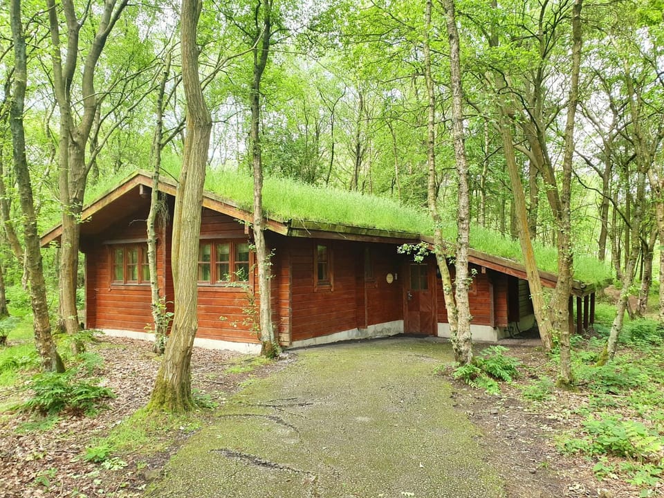 Property building, Facade/entrance, Garden