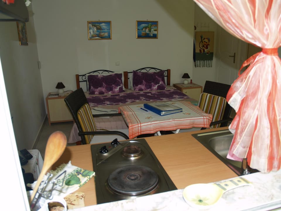 Kitchen or kitchenette, Photo of the whole room, Seating area, Dining area, Bedroom
