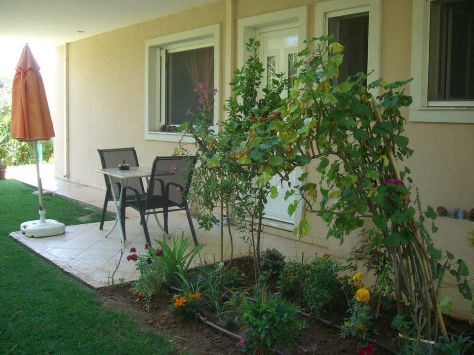 Garden view