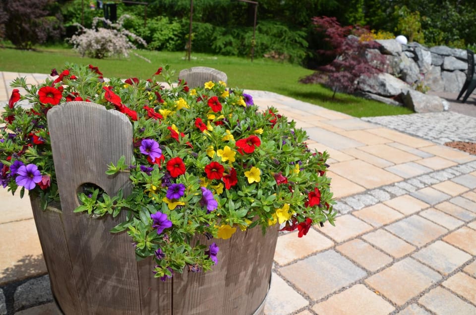 Patio, Garden