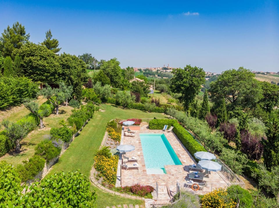 Bird's eye view, Garden, Pool view