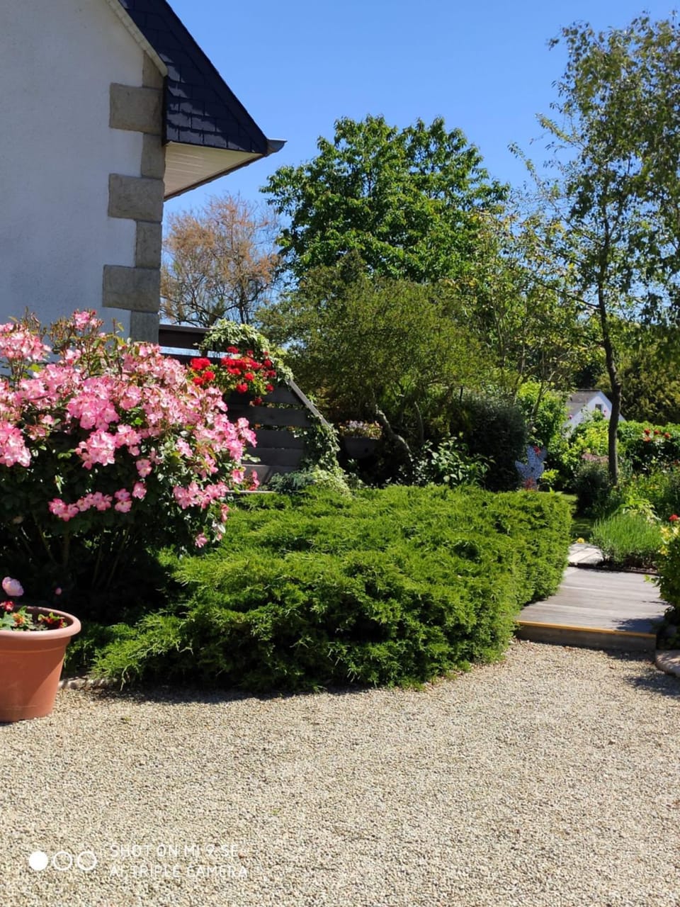 Garden view