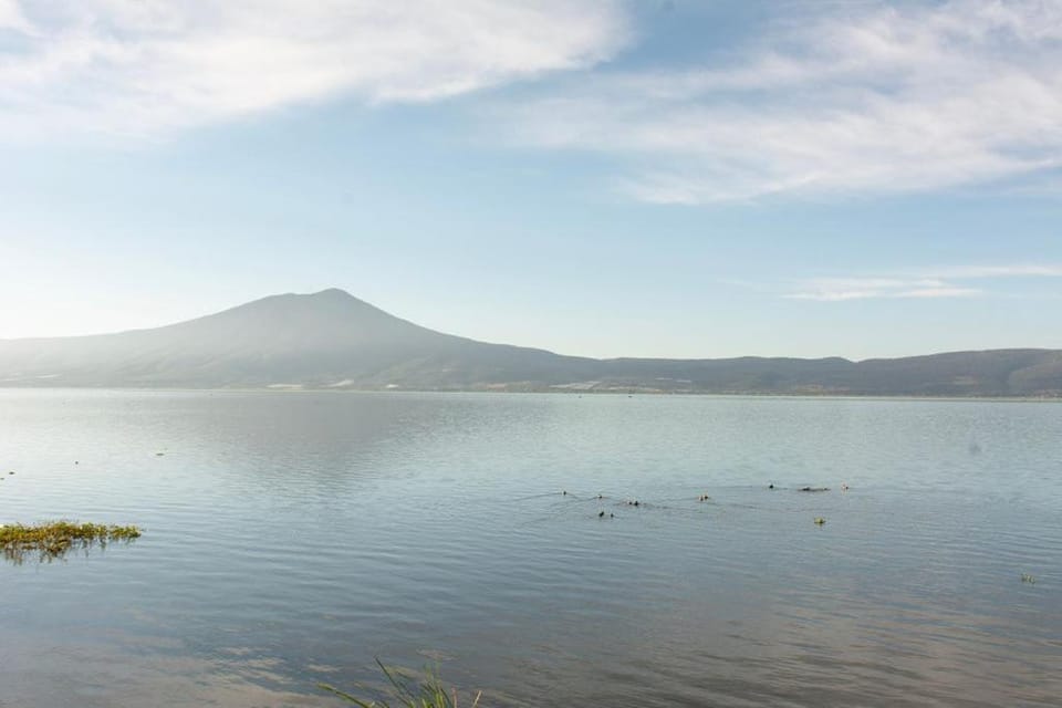 Lake view