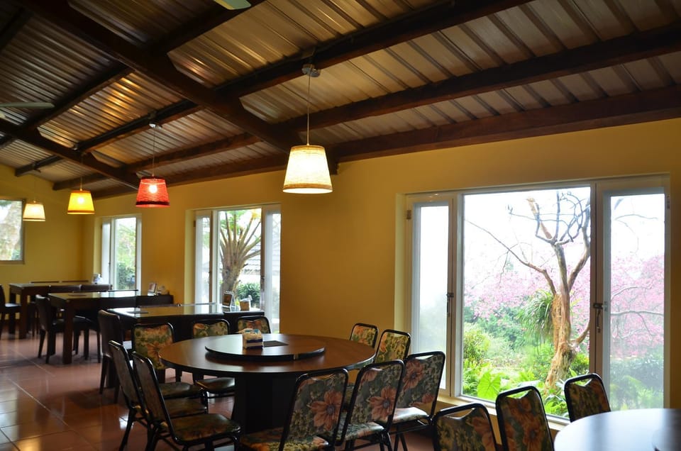 Restaurant/places to eat, Dining area
