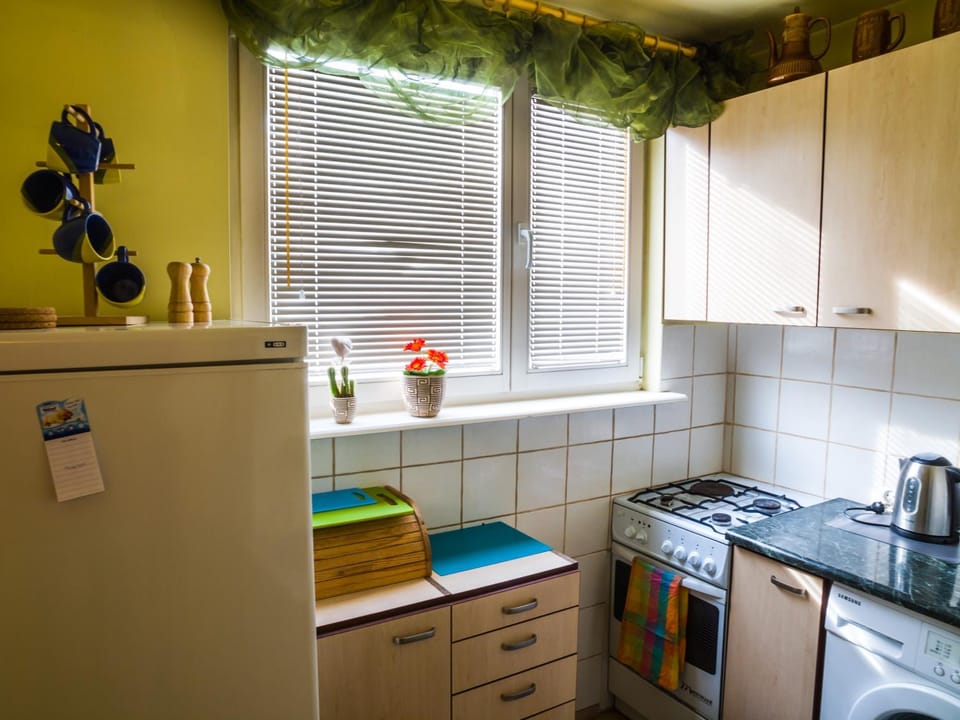 Coffee/tea facilities, Kitchen or kitchenette, minibar, pet friendly, washing machine