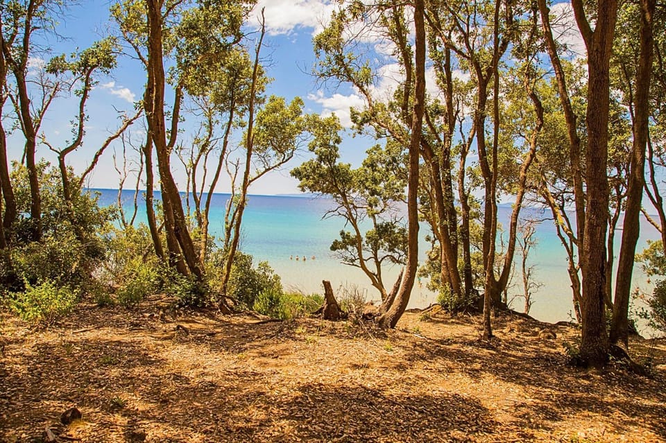 Day, Natural landscape, Beach, Sea view