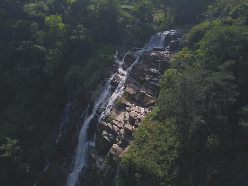 Natural landscape