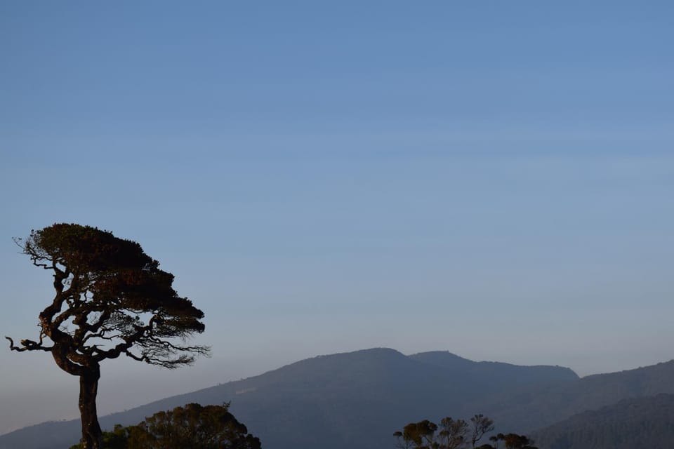 Mountain view