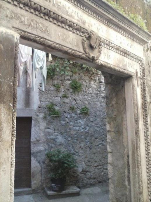 Studio Cres Apartment in Cres
