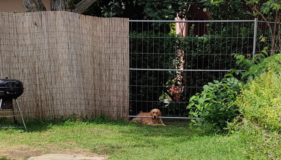 Garden, Pets