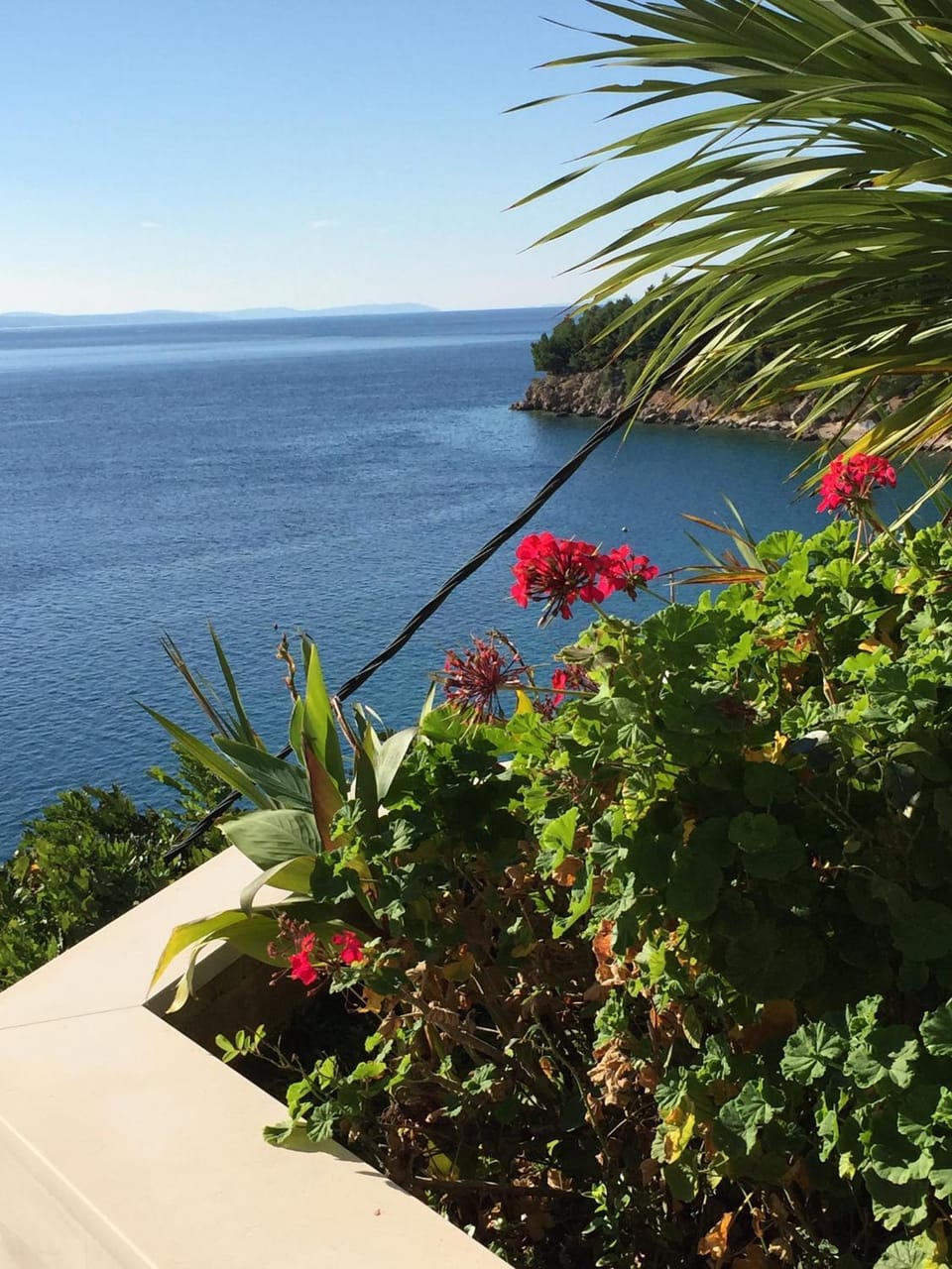 Garden, Garden view, Sea view