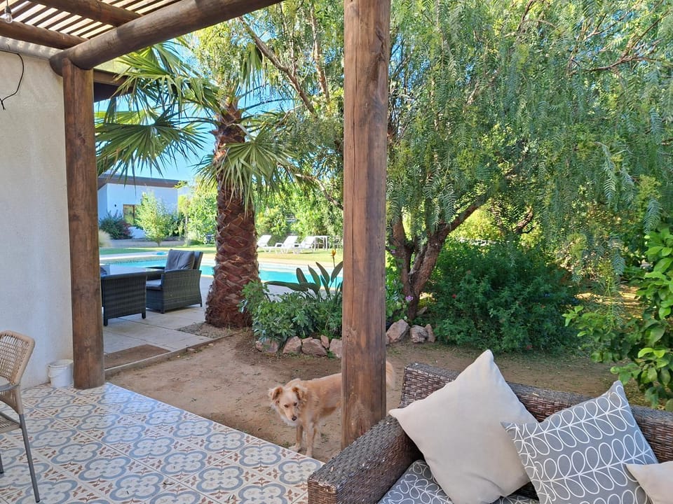 Garden, Garden view, Swimming pool