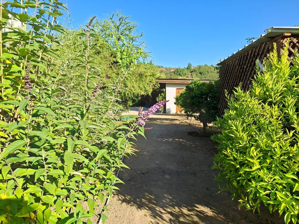 Property building, Natural landscape, Garden view