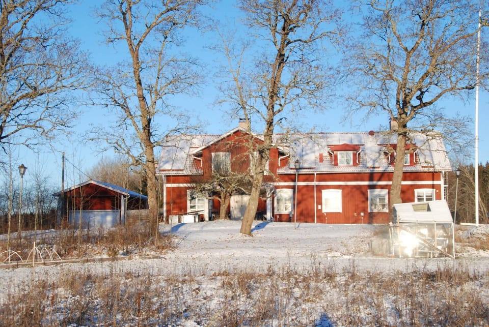 Property building, Garden view