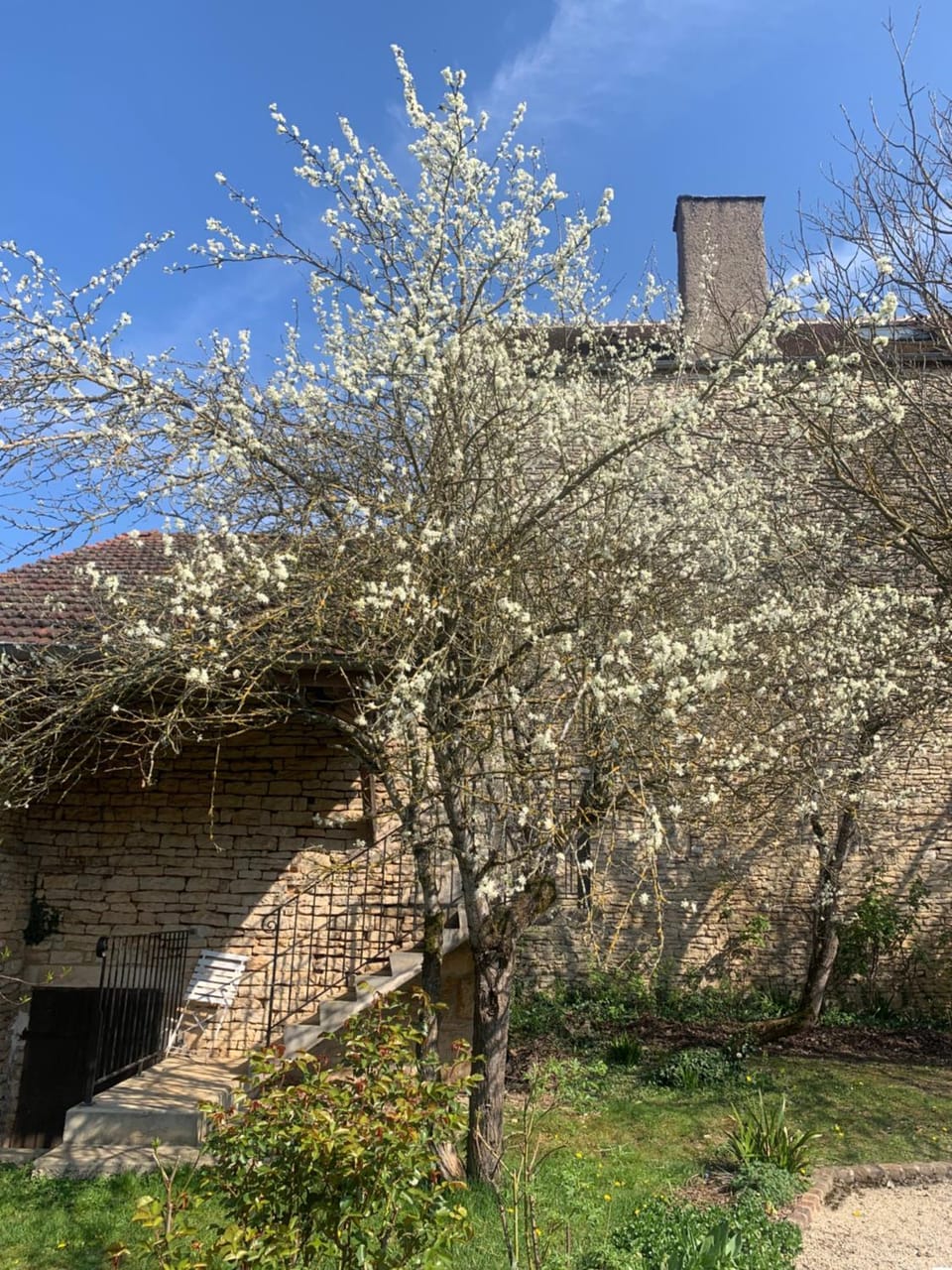 Spring, Day, Garden, Garden view
