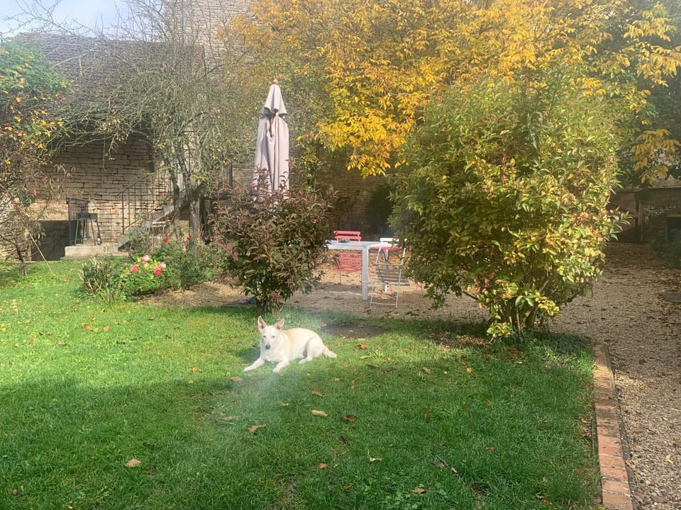 Garden, Garden view, pet friendly