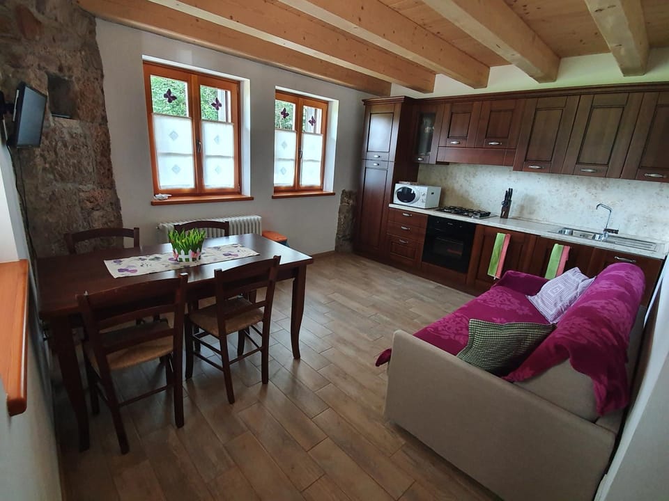 TV and multimedia, Kitchen or kitchenette, Living room, Dining area, oven, pet friendly