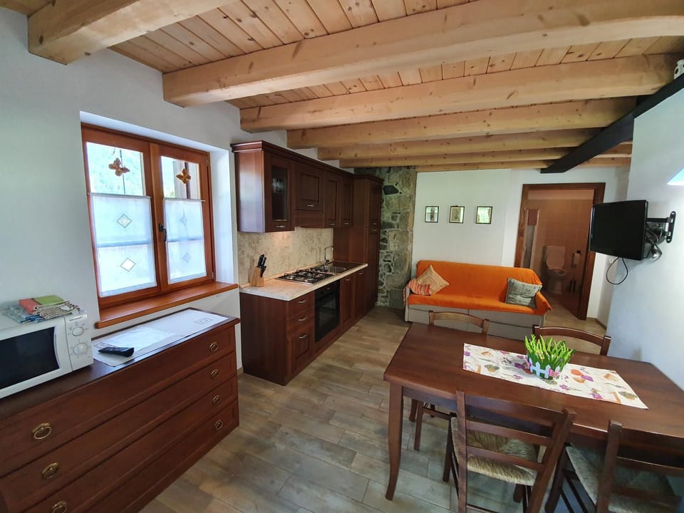TV and multimedia, Kitchen or kitchenette, Living room, Dining area, oven, pet friendly, stove
