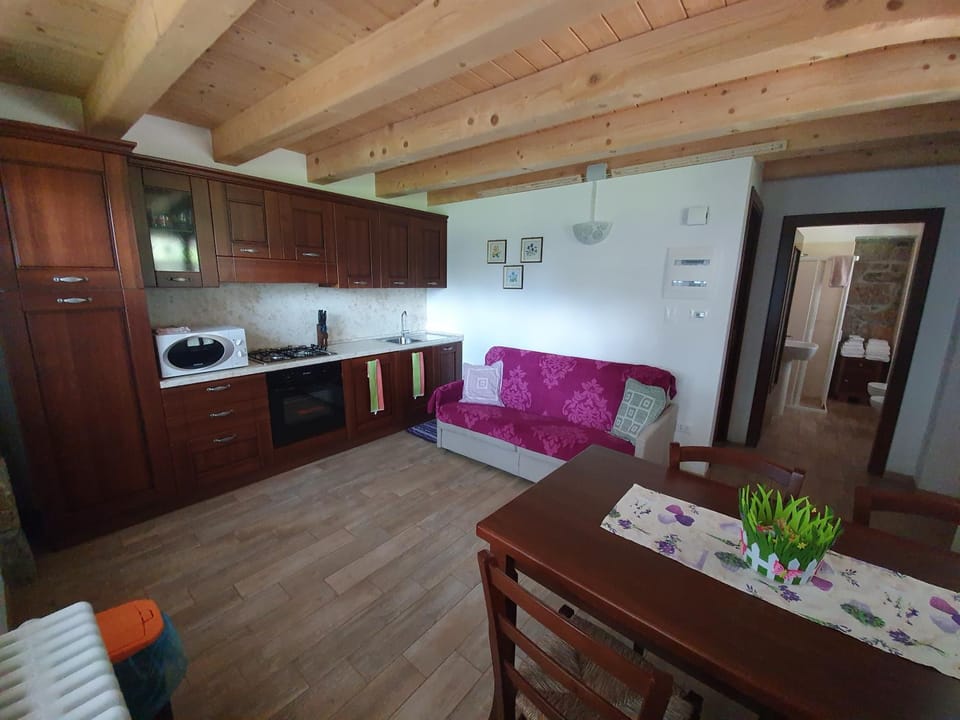 Kitchen or kitchenette, Living room, Dining area, oven, stove